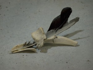 Abjekt #4, 36x36cm, 2011